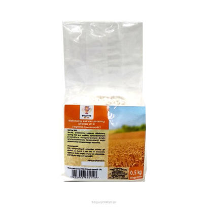 Naturalny zakwas pszenny SPRING W-6 (wysoka kwasowość) - 0,5 kg